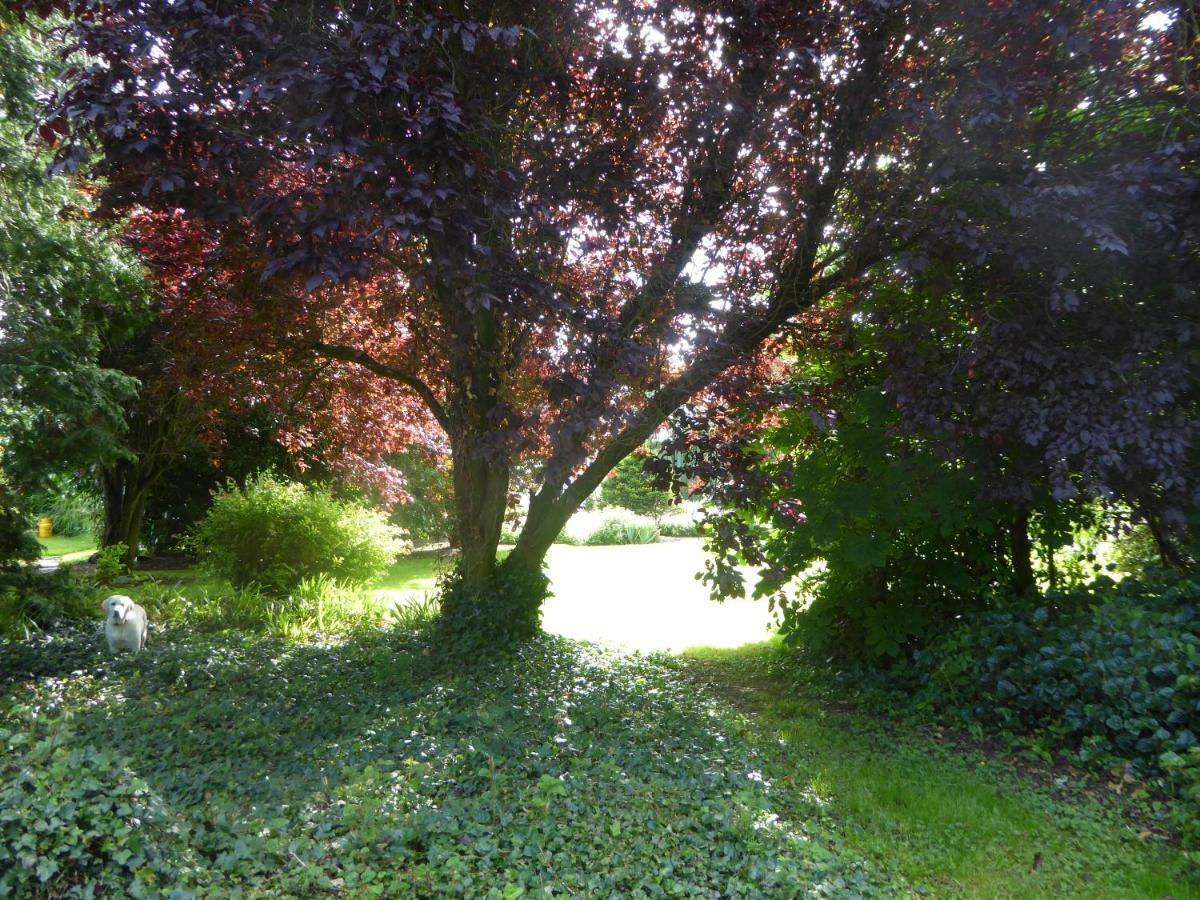 Broadacre Farm Bed & Breakfast Stabannan ภายนอก รูปภาพ